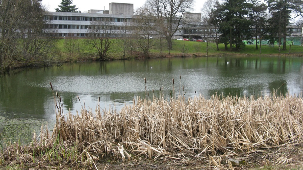 Film & Media and Journalism Studies